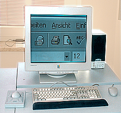 Abbildung eines PC-Arbeitsplatzes mit aktivierter Vergr��erungssoftware